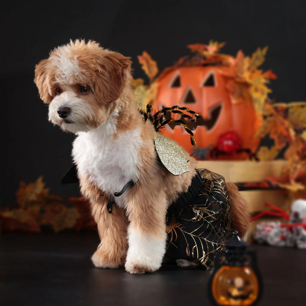 Colourful polyester dog Halloween costume suit shown in sizes S, M, L, XL for party events.