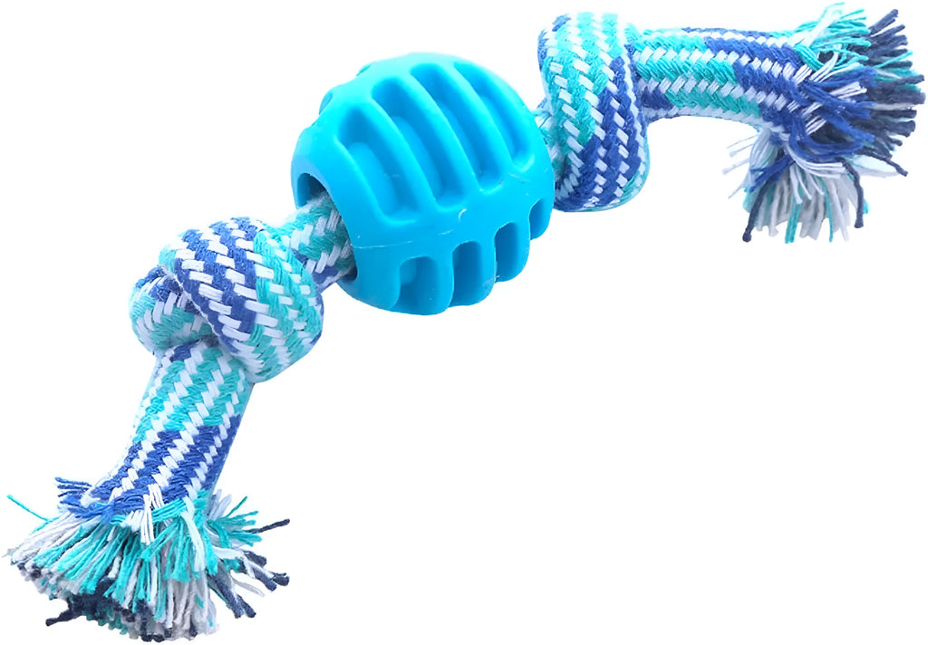 Blue molar-shaped dog chew toy with natural fibre ropes for dental cleaning