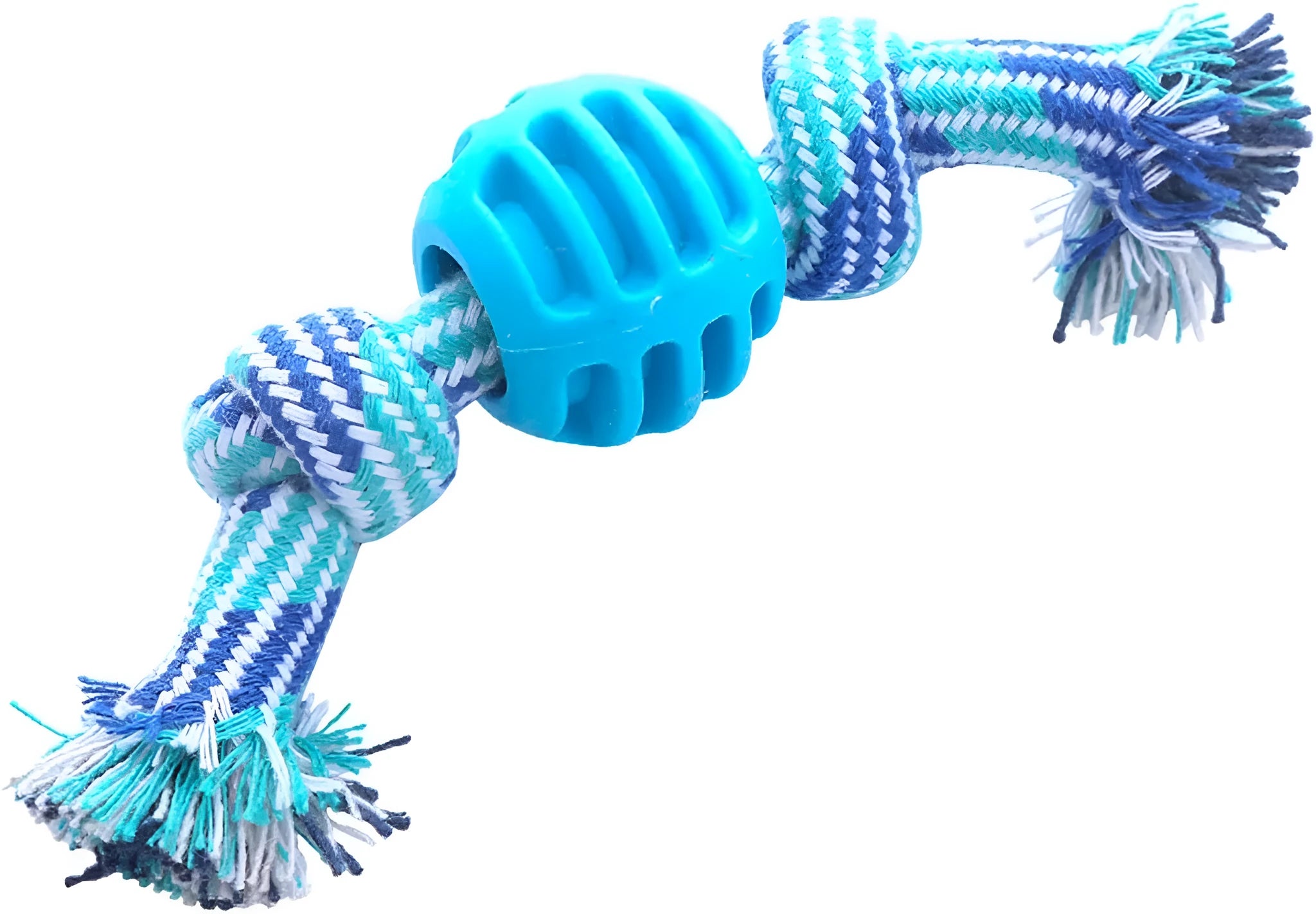 Blue molar-shaped dog chew toy with natural fibre ropes for dental cleaning