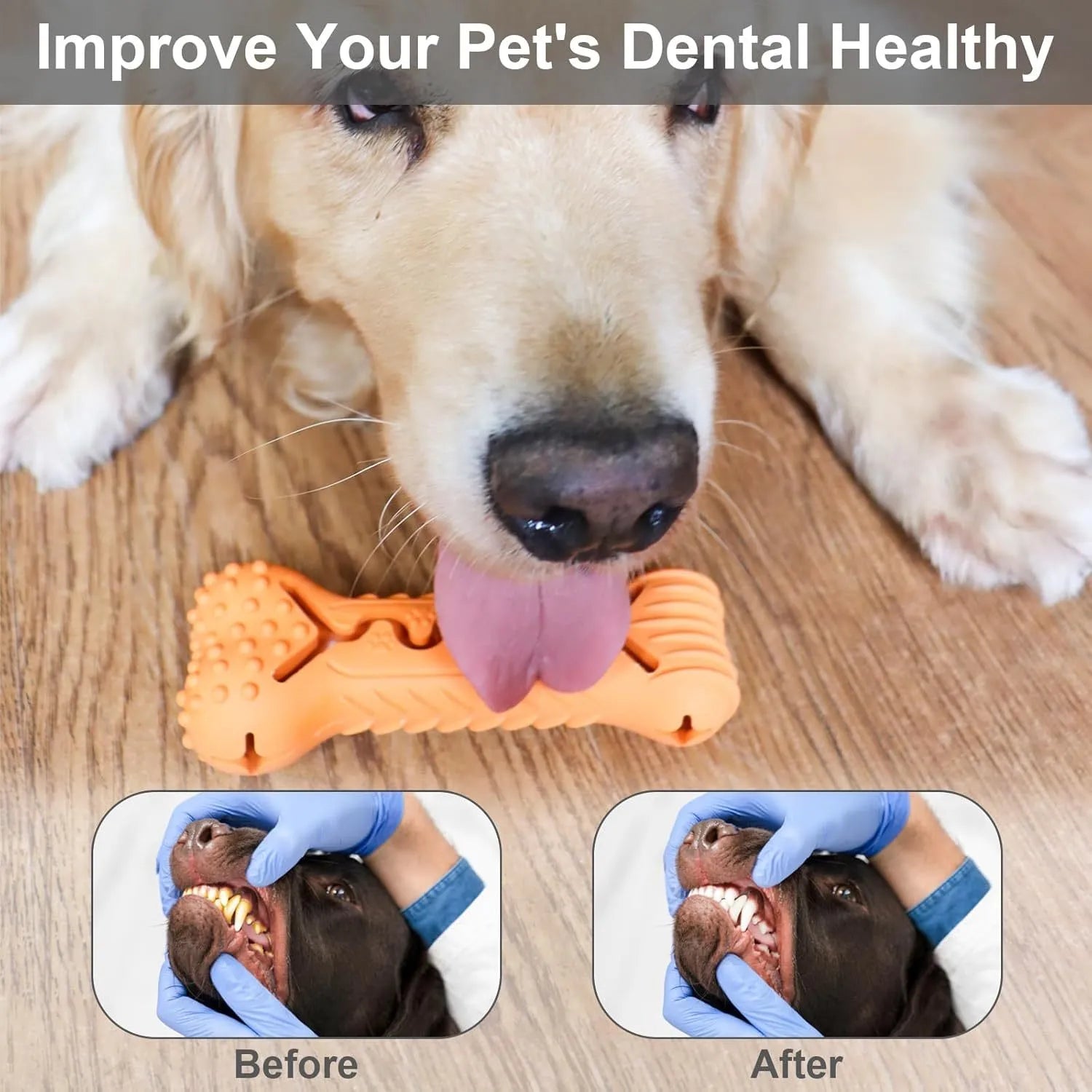 Blue green orange bone-shaped natural rubber dog chew toy for aggressive chewers