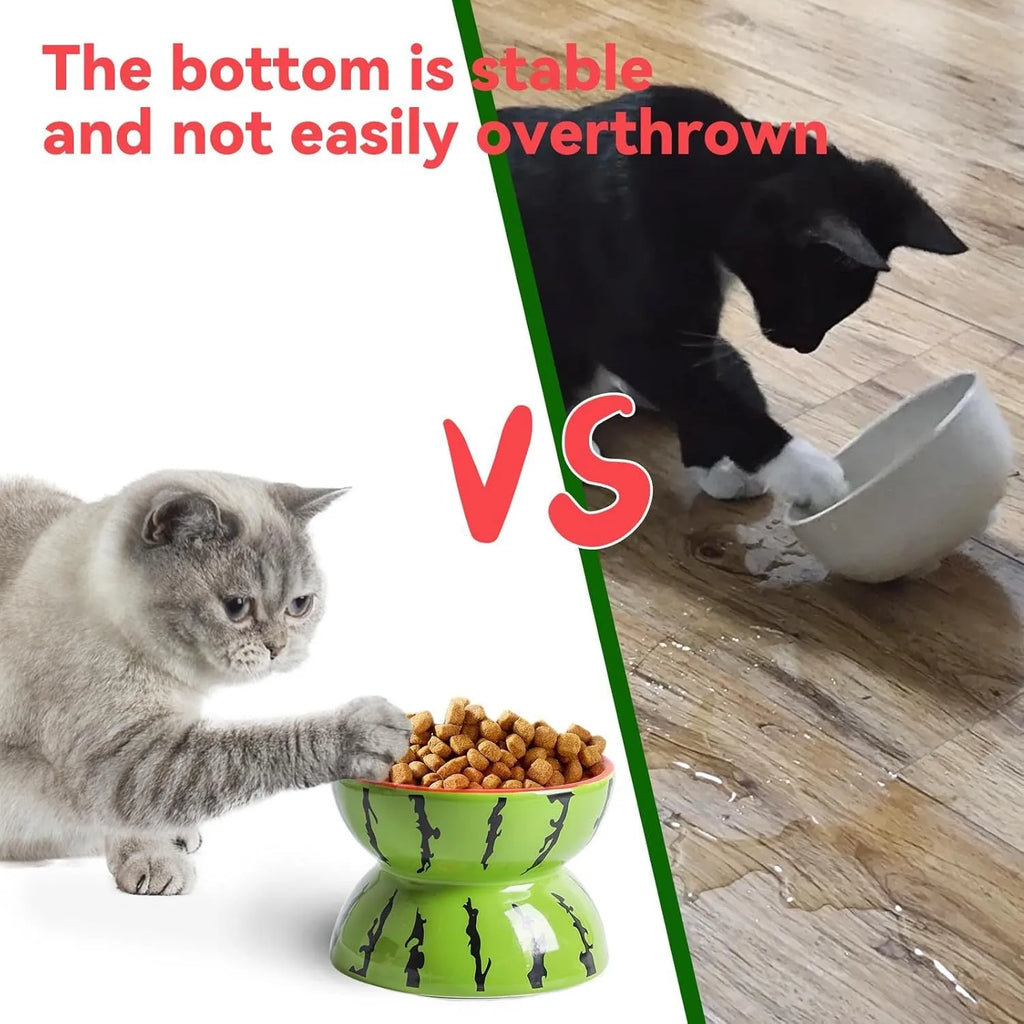 Ceramic elevated cat bowl with tilted design in orange, pitaya, or watermelon patterns