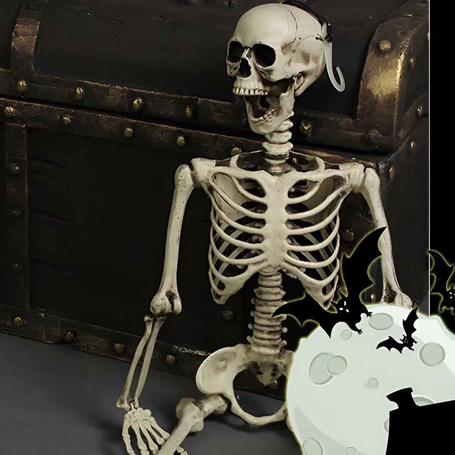 170cm plastic skeleton prop with detailed skull and bones for Halloween or medical displays