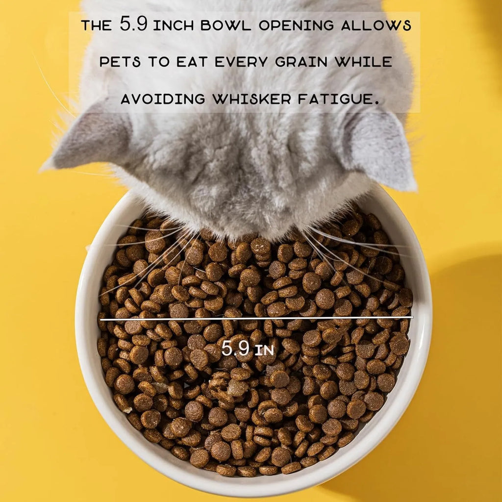White ceramic raised cat bowl with bear design, showing wide opening and elevated base.