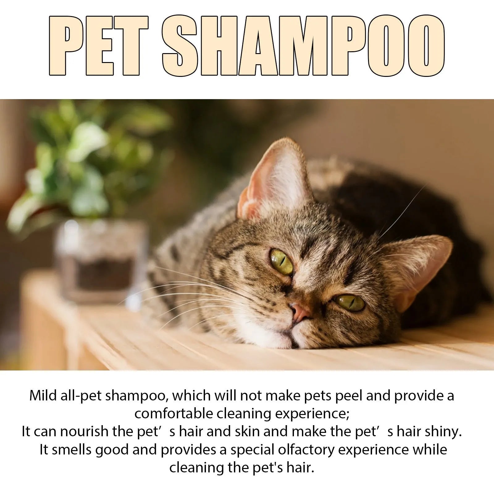 Mild pet shampoo bottle for dogs and cats in 100ml and 300ml sizes