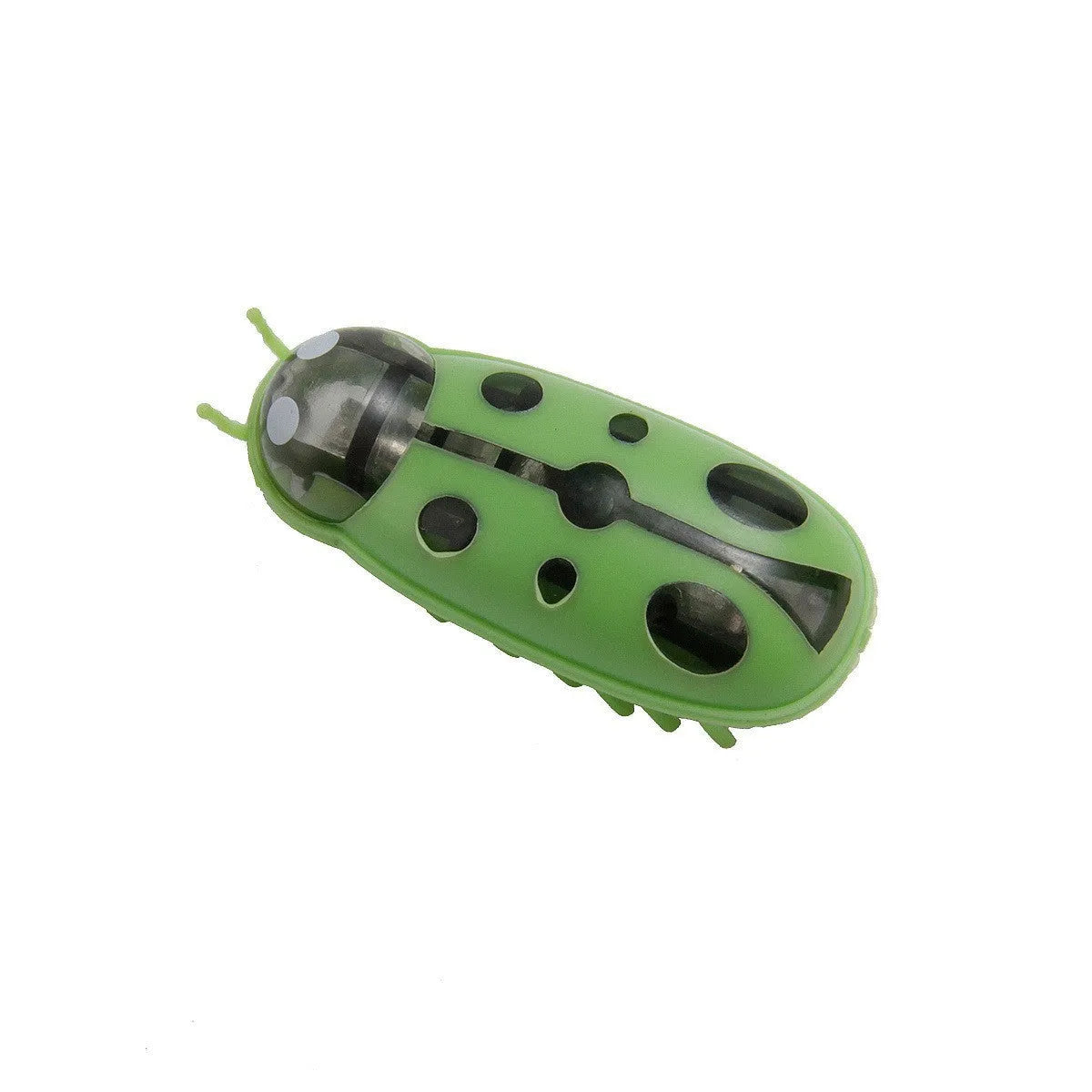 Electric bug cat toy with motorised walking motion and ladybird design