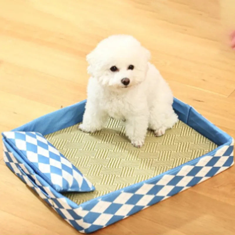 Blue woven rattan cat mat serving as a litter mat and summer bed for kittens and cats.