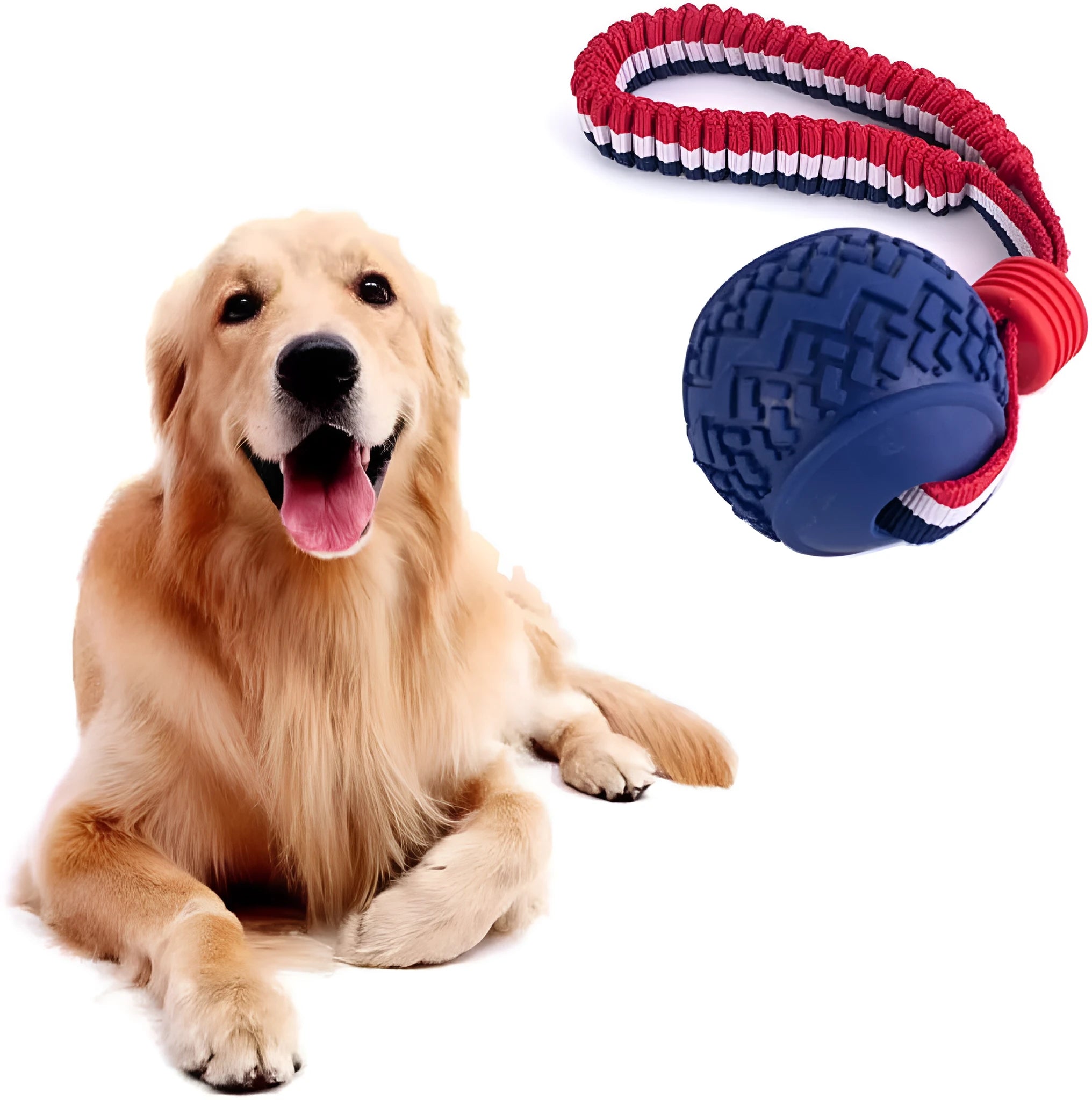 Blue dog ball with rope toy for small dogs, showing textured surface and 29cm length.