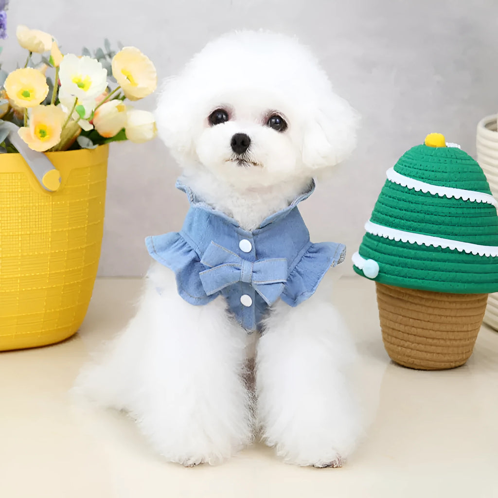 Blue denim dog dress vest with ruffles and a metal leash hook on the back for small dogs.