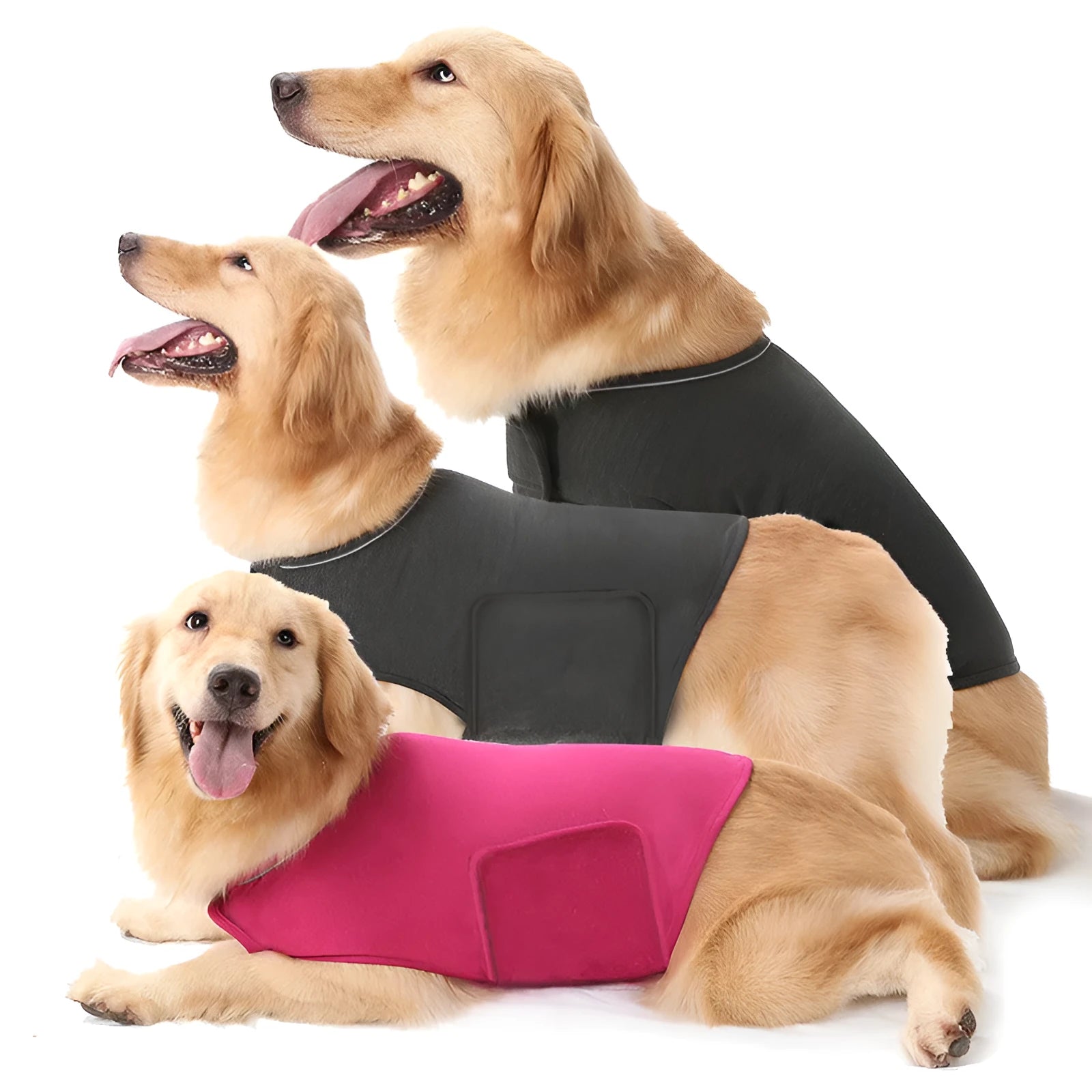 Anxiety jacket vest for cats and dogs in dark grey, showing front view with snap fasteners