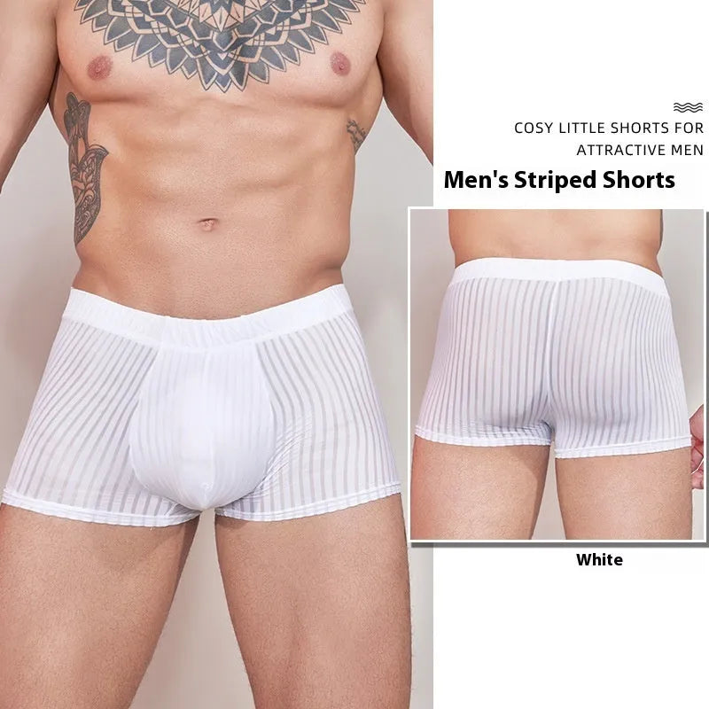 Men's striped underwear in thin transparent nylon fabric showing black, white, and dark grey colour options