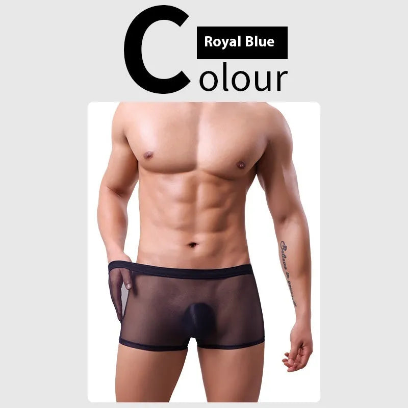 Men's low-waist mesh boxer briefs in six colours: black, white, green, sapphire blue, pink, and skin colour.