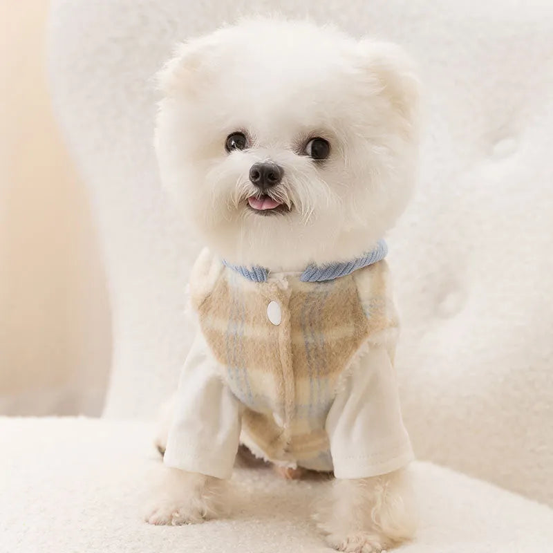 Blue corduroy dog hoodie with chessboard grid print and hood, sized for a medium dog.