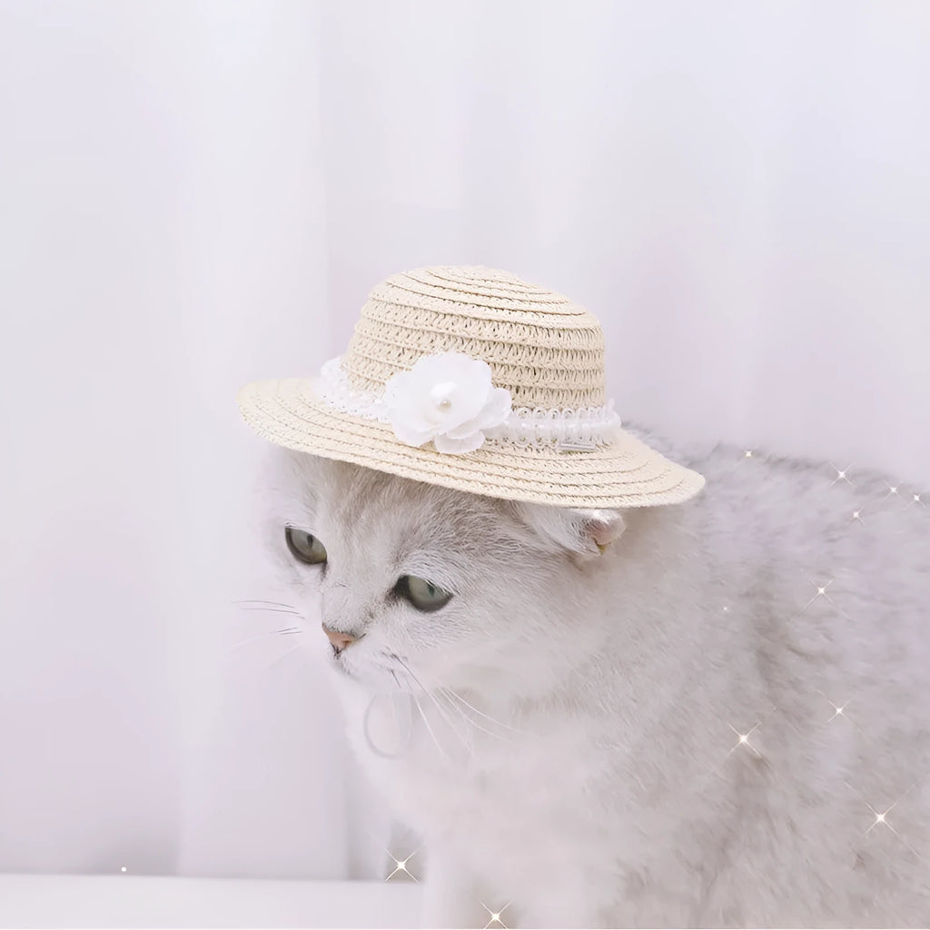 Handmade adjustable bowknot paper hat for dogs or cats in cartoon style