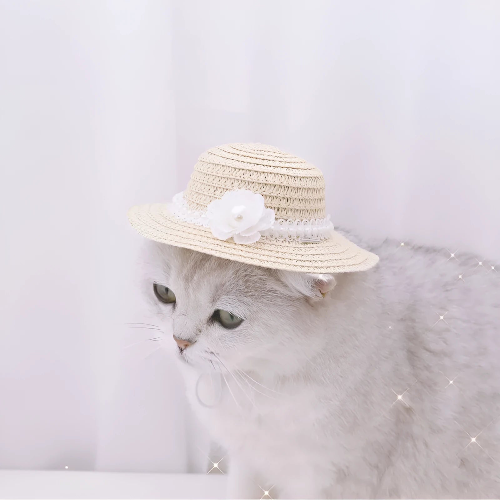 Handmade adjustable bowknot paper hat for dogs or cats in cartoon style