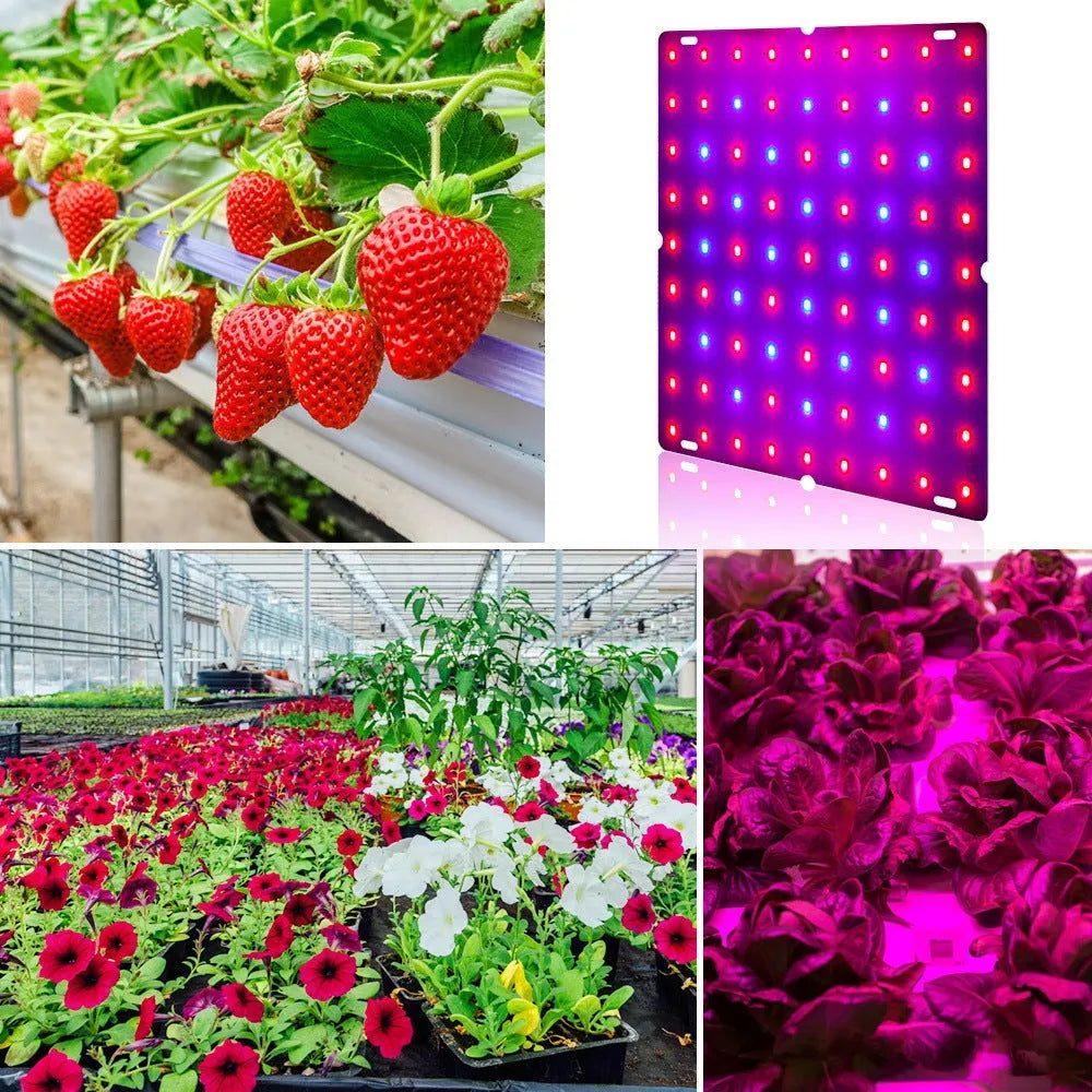 Aluminium D-section plant growing light with LED beads, shown with a hook for overhead mounting.