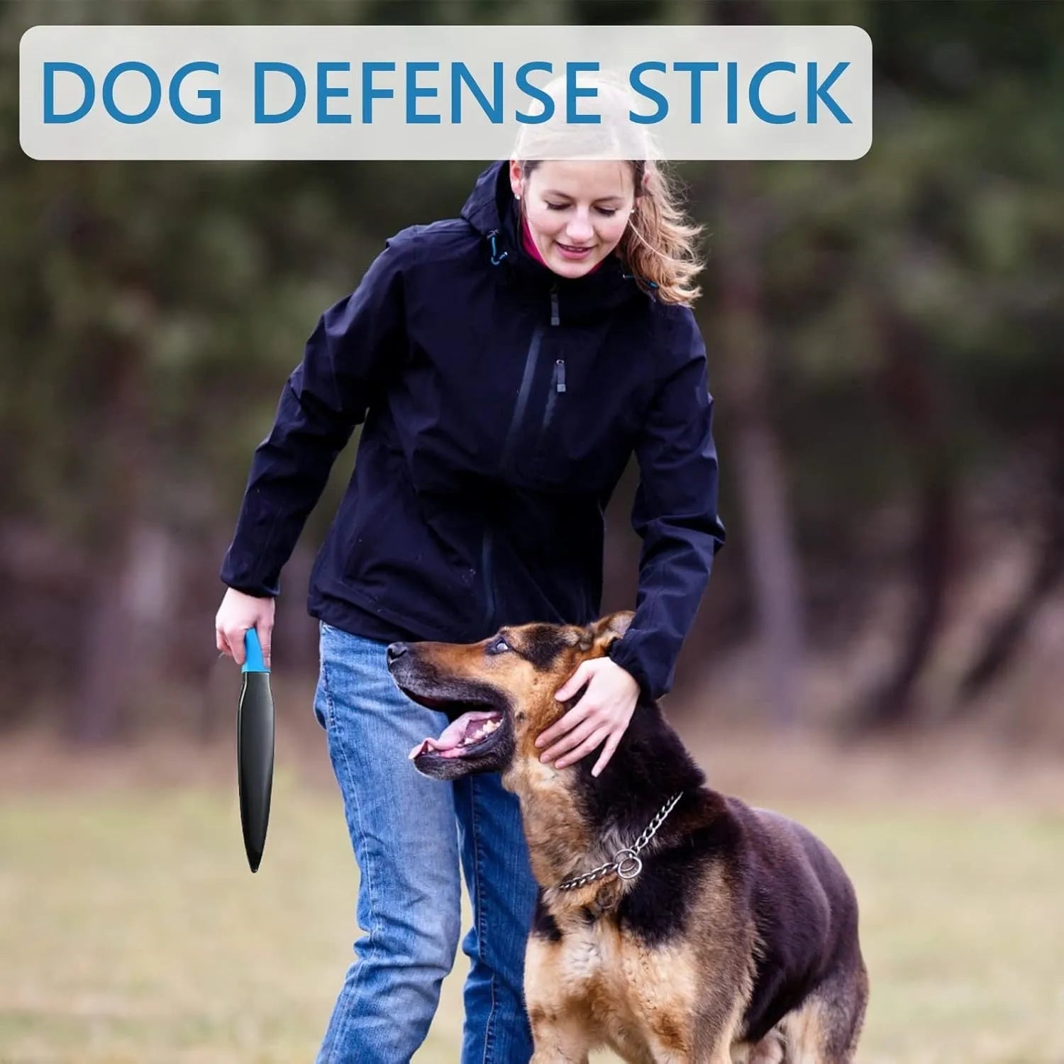 Blue handled nylon dog training stick measuring 35cm for small and medium dogs