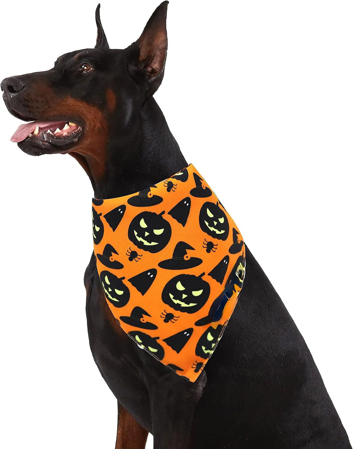 Black and orange reversible Halloween dog bandana with pumpkin and spider web patterns laid flat.