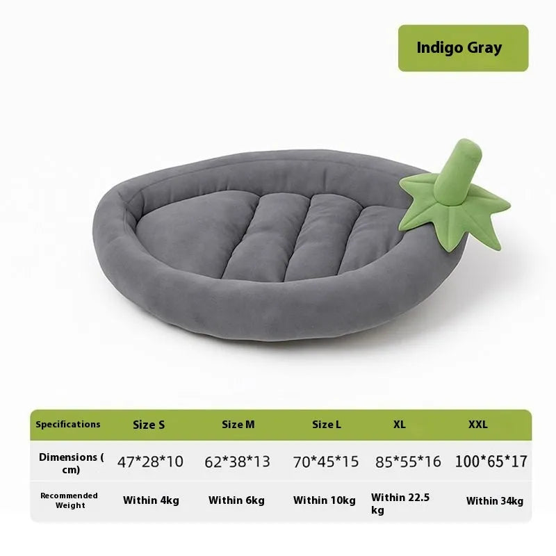Removable washable dog mat in five sizes with orange, purple, brown, or grey cloth cover
