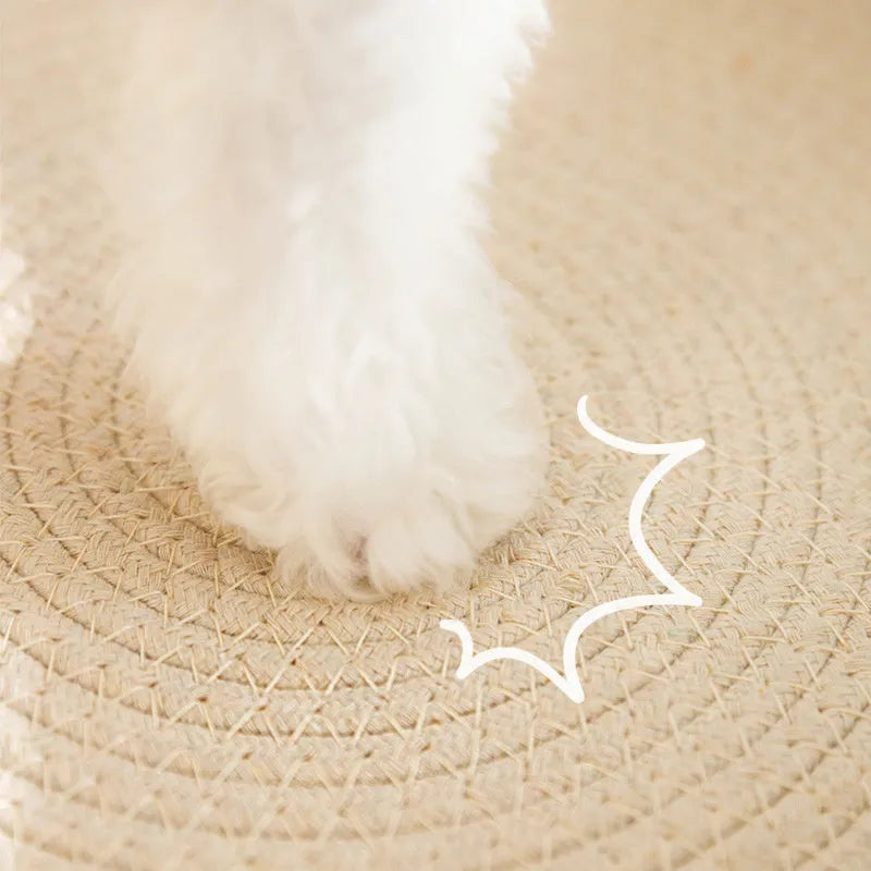 Green oval cardboard cat scratching pad with sisal surface, serving as a cat bed.
