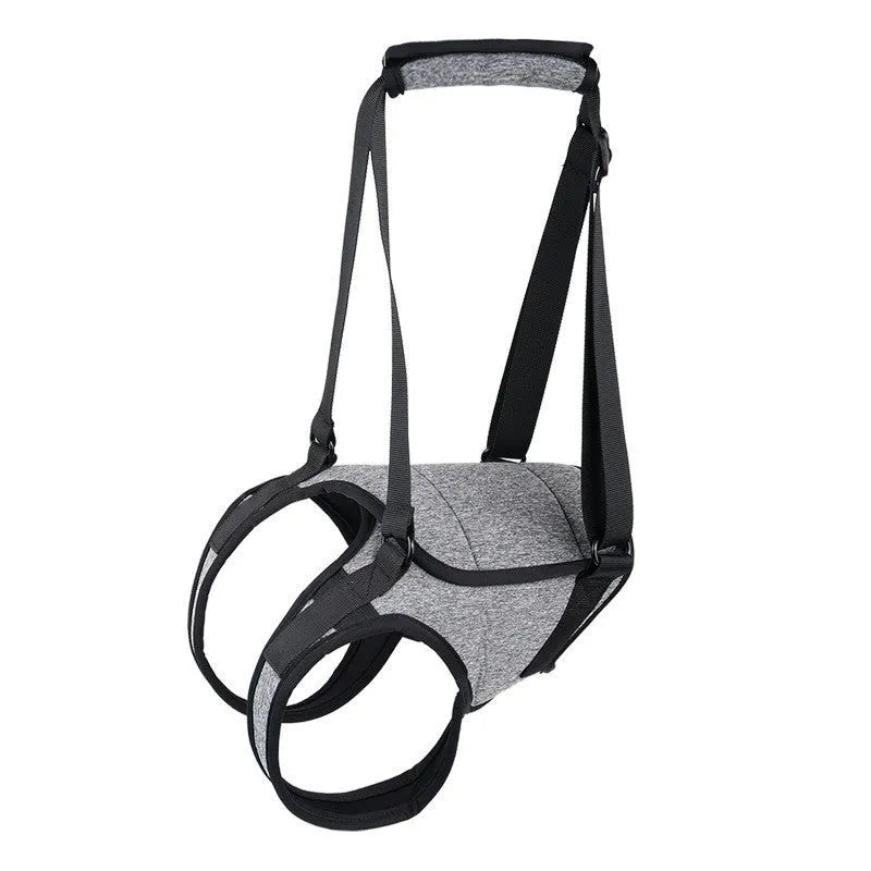 Grey neoprene dog rear leg recovery belt showing adjustable sizing for injury support