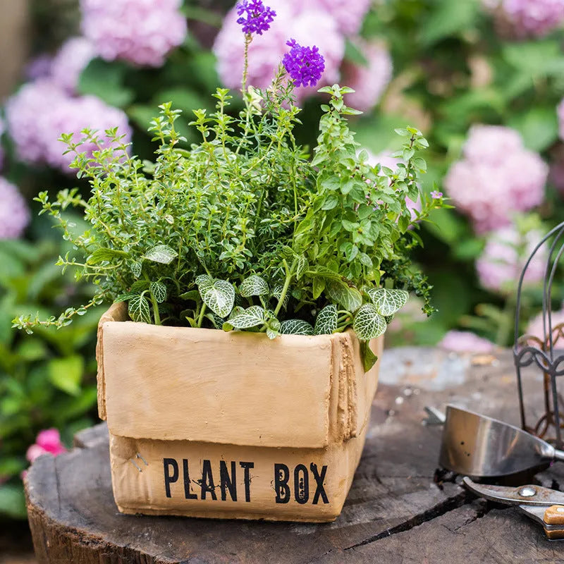 Cement brown paper box design flowerpot with drainage holes in Nordic style for indoor balcony planting