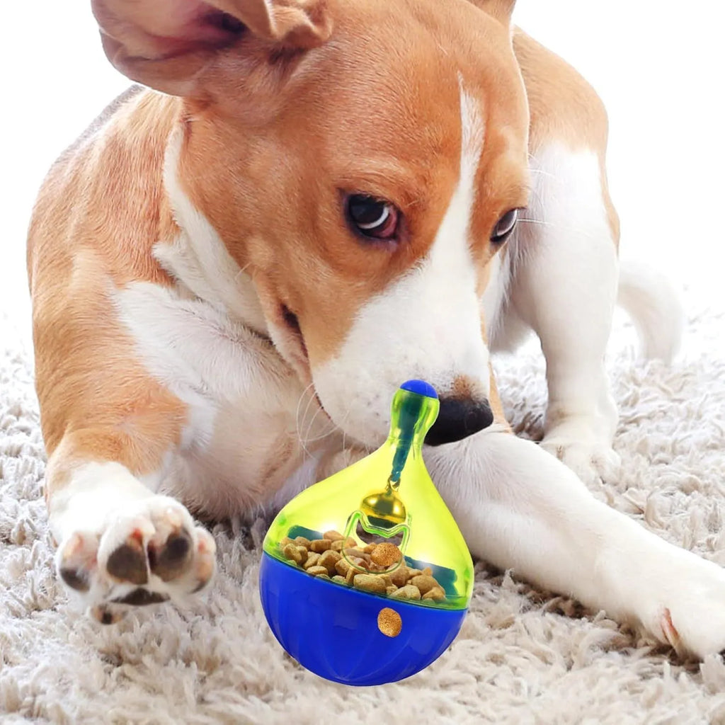 Tumbler-shaped interactive pet treat dispenser ball for dogs and cats