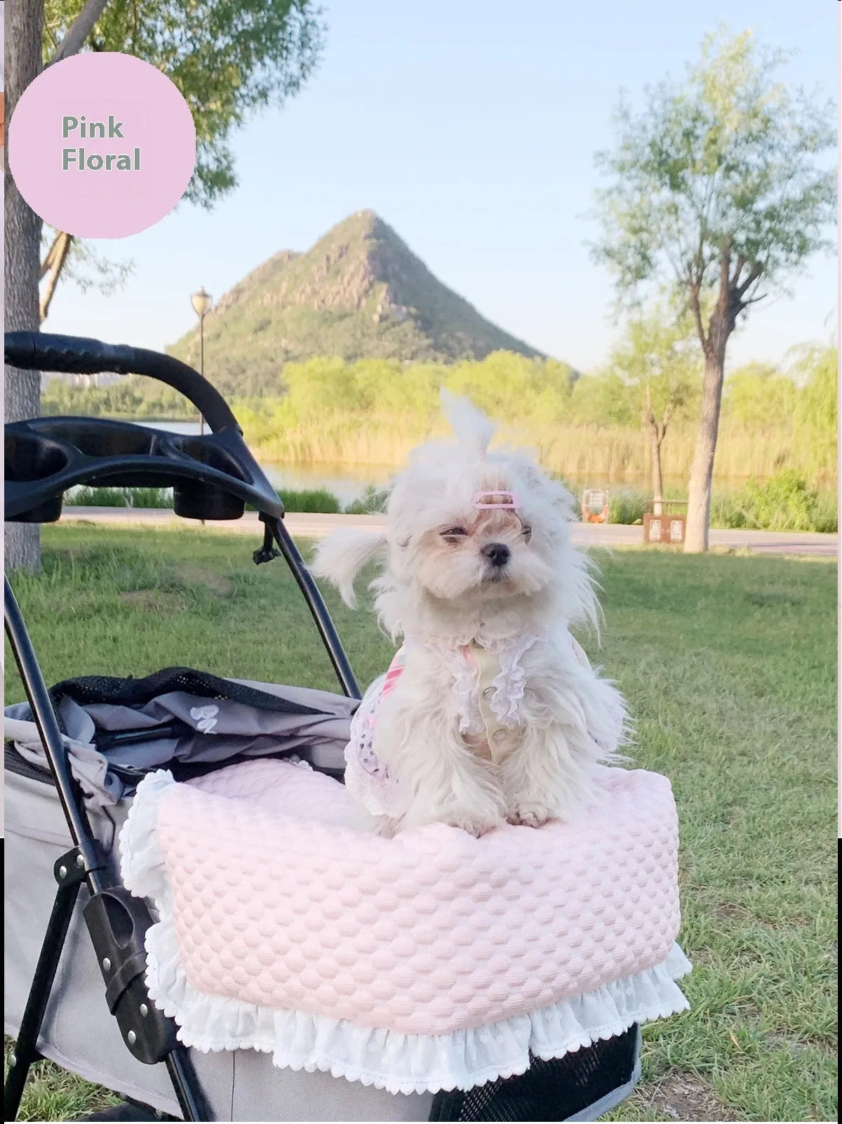 Pure cotton pet stroller accessory set with anti-dirty towel, cushion and pillow in blue green apple pattern