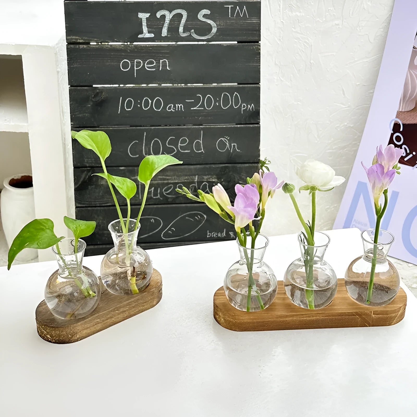 Wooden frame transparent hydroponic vase set with multiple PET glass containers in modern simplicity design