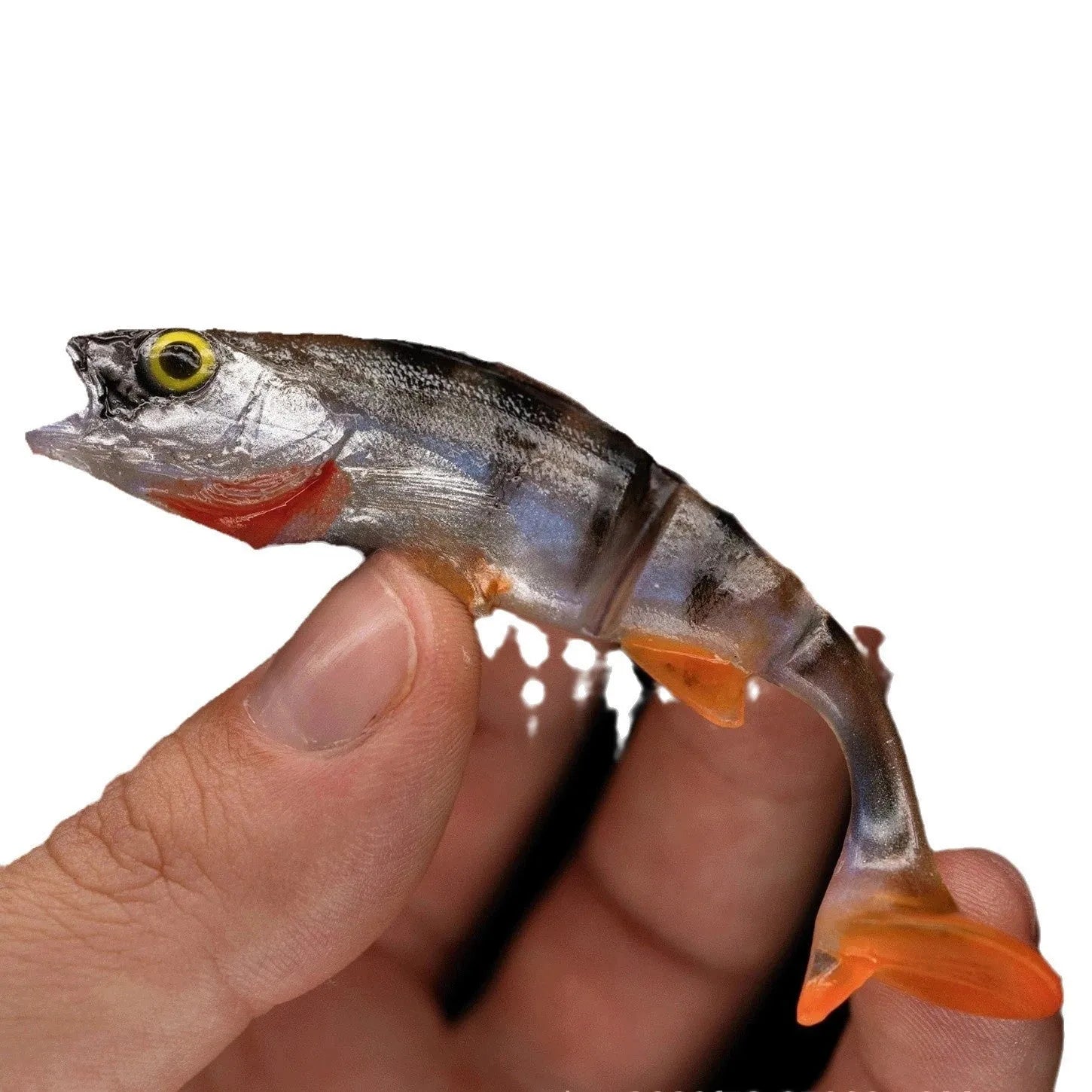 Fish T Tail soft fishing lure with realistic fish colour pattern and T-tail design