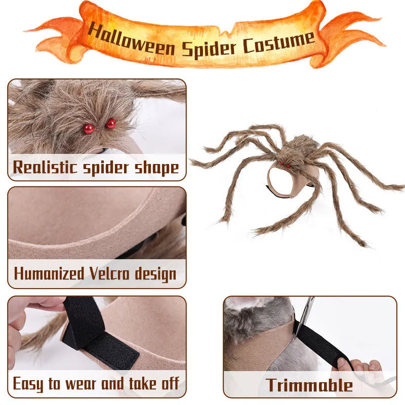 Halloween spider costume for pets in polyester available in grey, brown, black, and purple colours