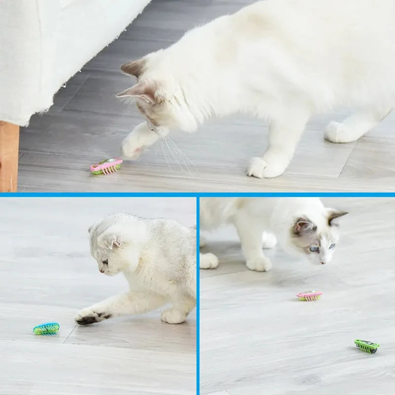 Electric bug cat toy with motorised walking motion and ladybird design