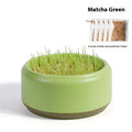 Blue, green, and yellow hydroponic cat grass kits with soilless planters and seed packets.
