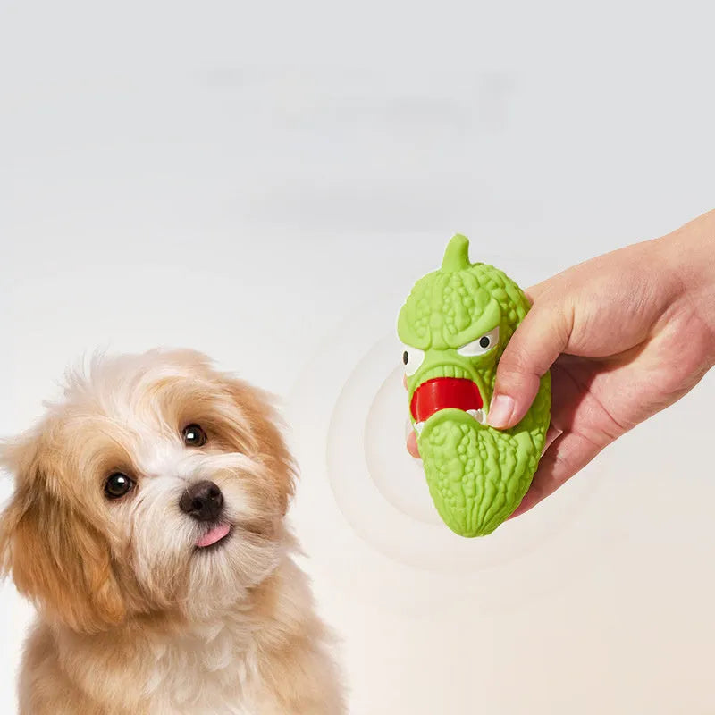 Bitter melon or chilli shaped dog toy with pet sound feature for teeth grinding and biting resistance