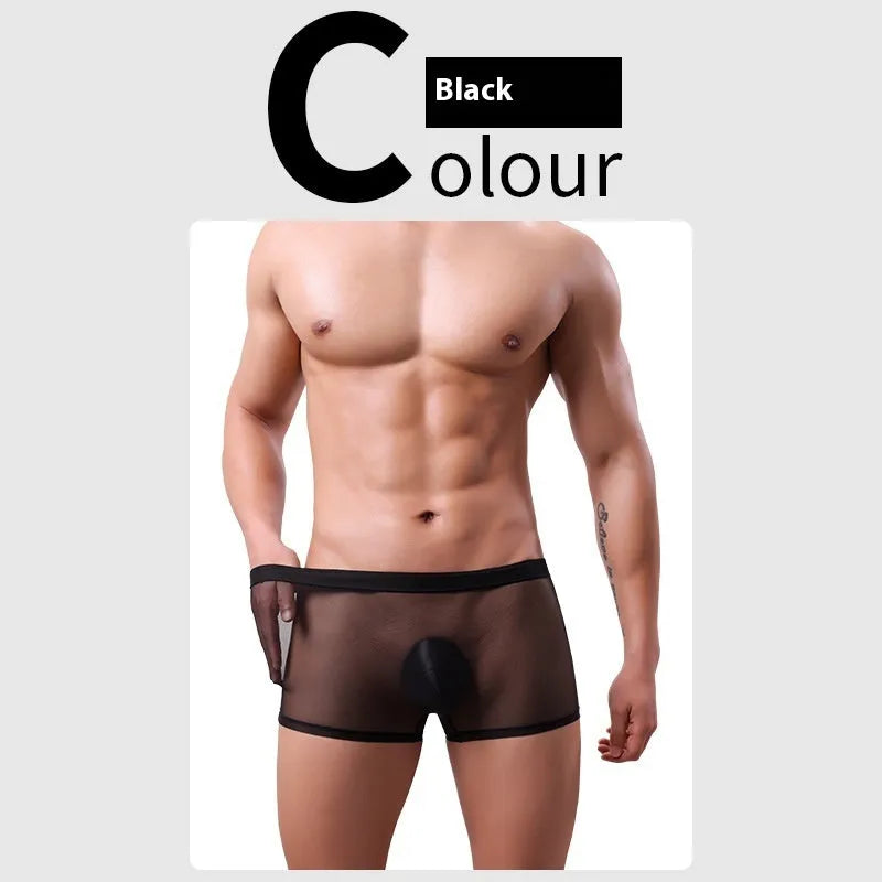Men's low-waist mesh boxer briefs in six colours: black, white, green, sapphire blue, pink, and skin colour.