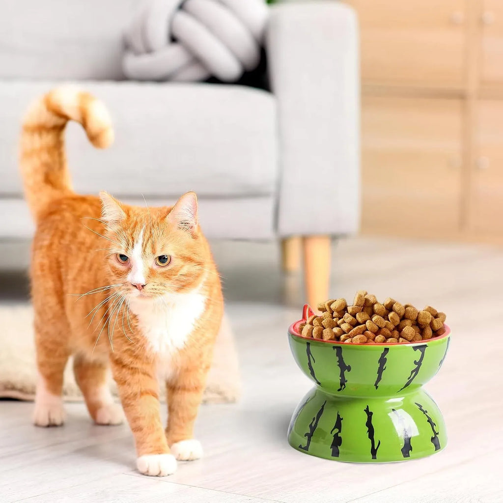 Ceramic elevated cat bowl with tilted design in orange, pitaya, or watermelon patterns