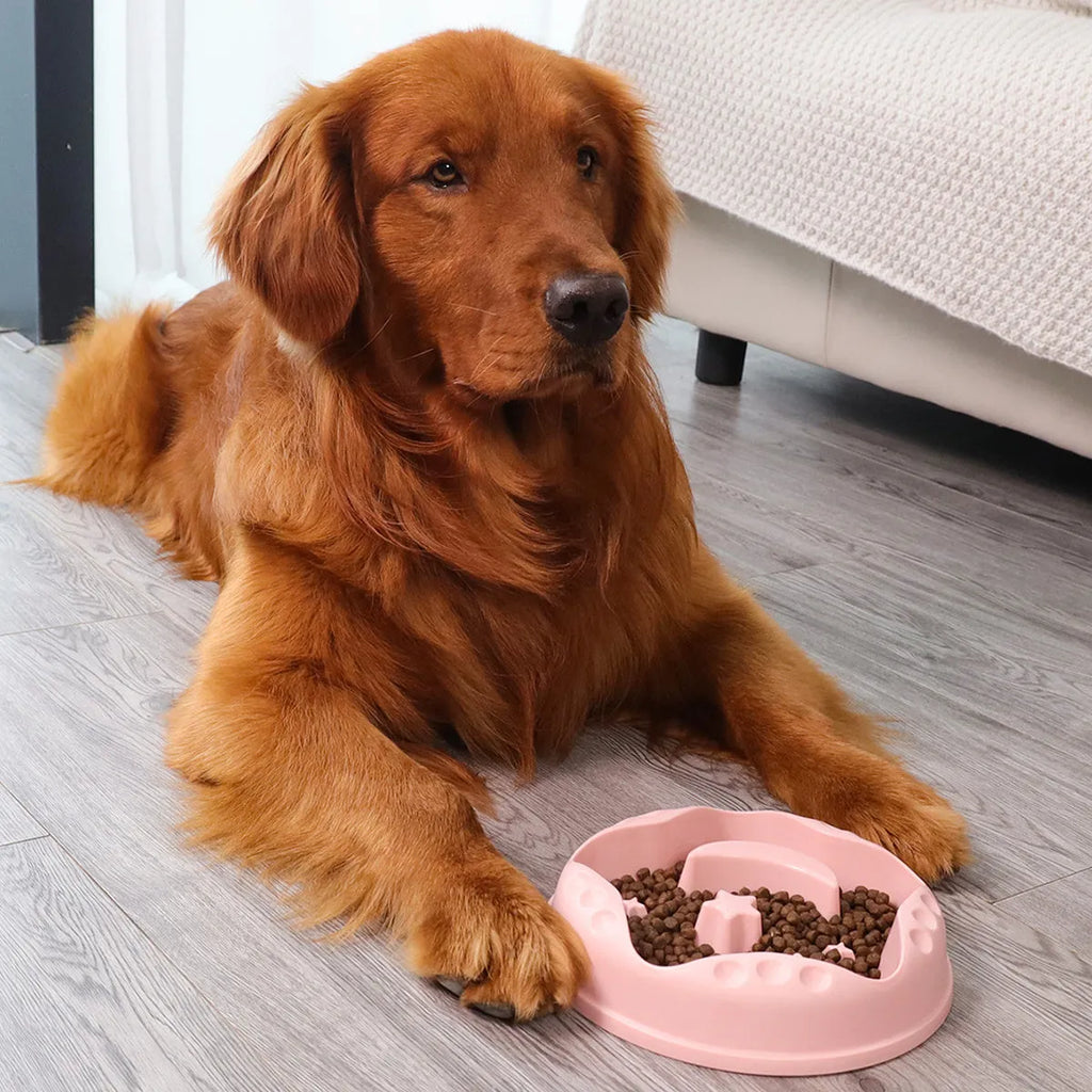 Moon Star Wings slow feed dog bowl with interior ridges and non-slip base in assorted colours.