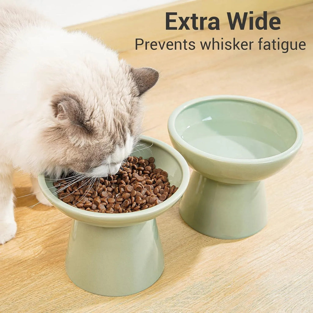 Blue elevated ceramic cat bowl with wide shallow dish on a white background.