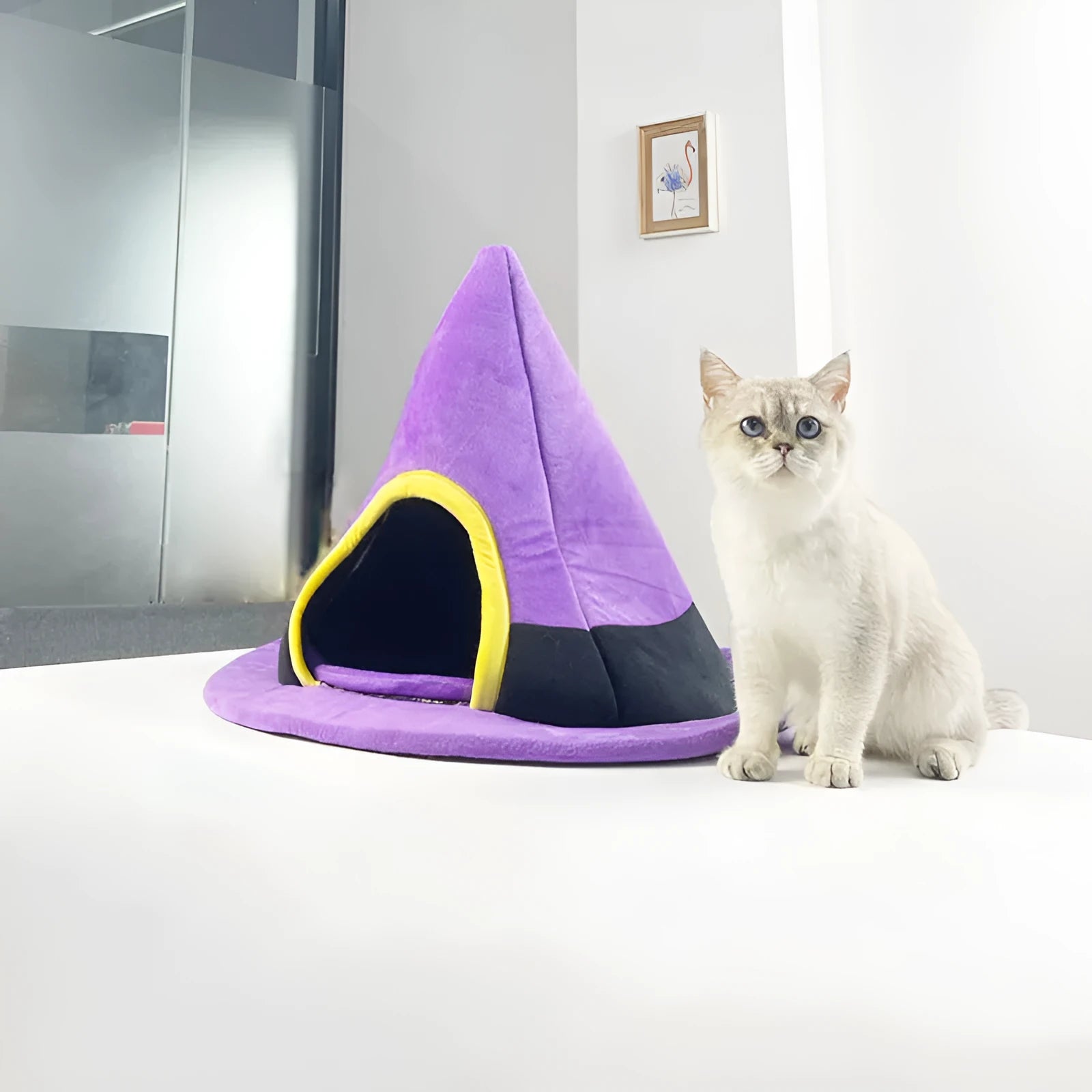 Purple Halloween witch hat shaped cat bed measuring 60cm by 45cm