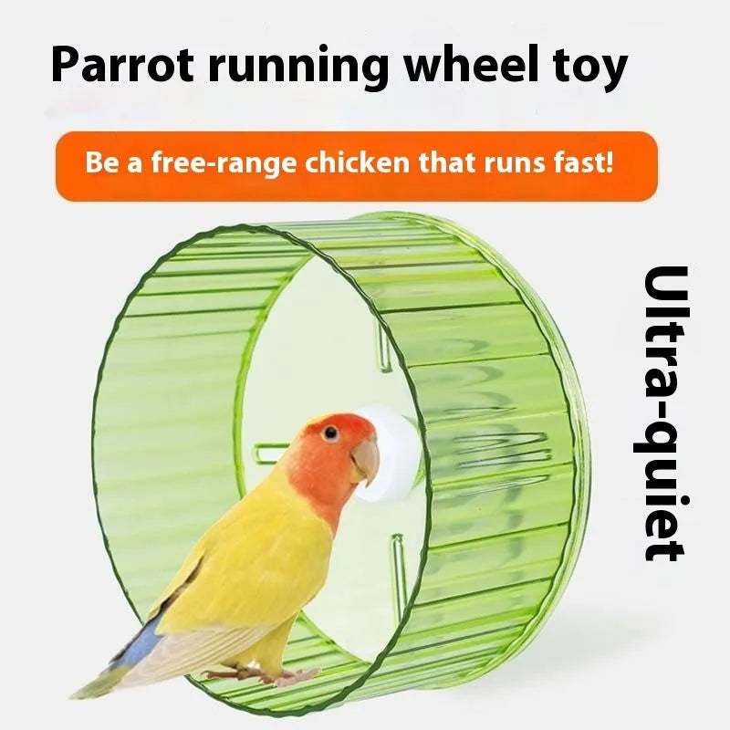 Parrot running wheel toy in plastic with transparent, green, orange, grey, and purple colour options