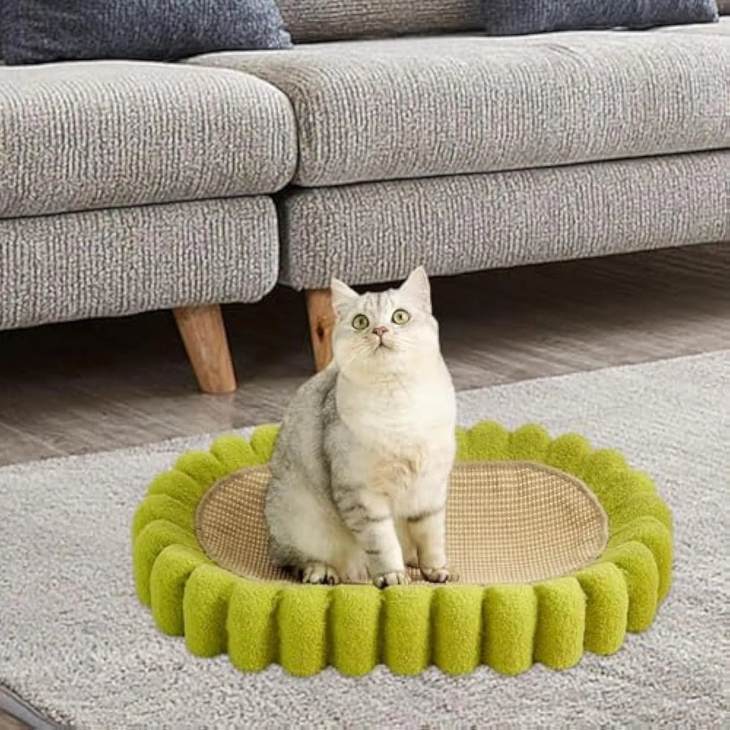 Green oval cardboard cat scratching pad with sisal surface, serving as a cat bed.