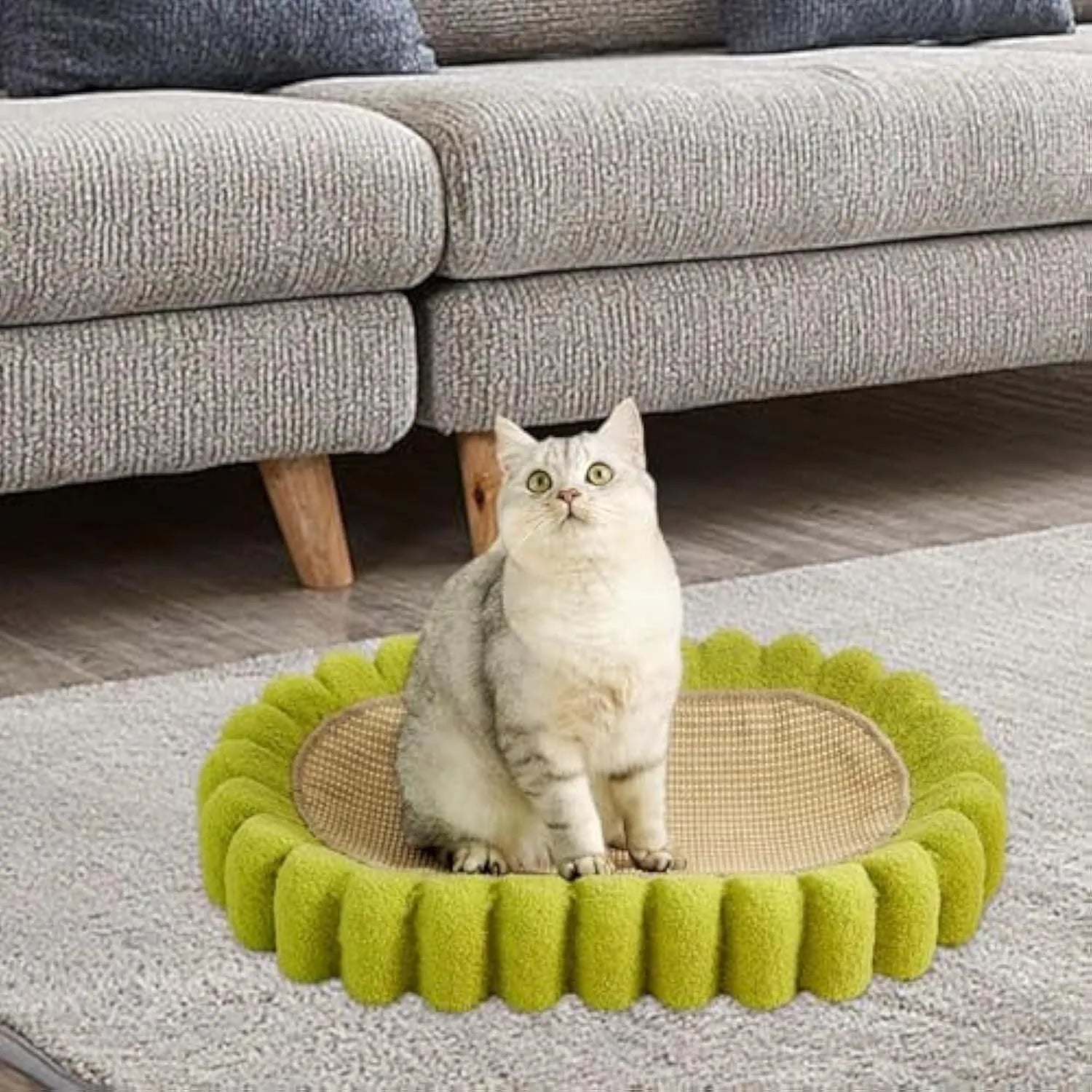 Green oval cardboard cat scratching pad with sisal surface, serving as a cat bed.