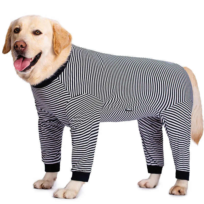 Four-legged striped dog shirt on Golden Retriever showing full coverage design with sky blue colour