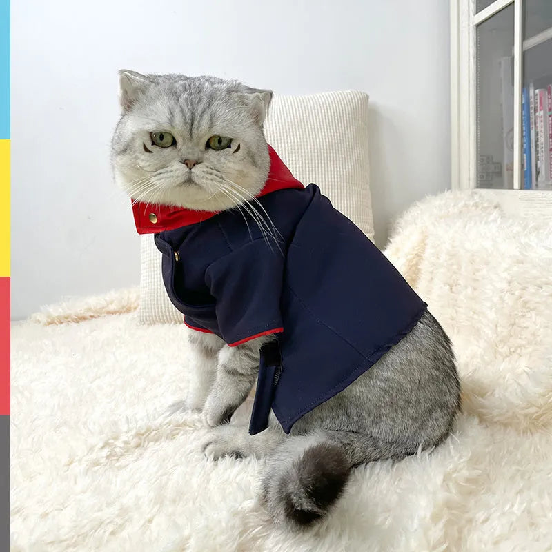 Tiger Staff Yuren coloured knit hoodie being worn by a dog as a photo prop costume.