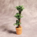 Simulation green plant coin bank money tree in whole tree colour made from 3D-printed PLA