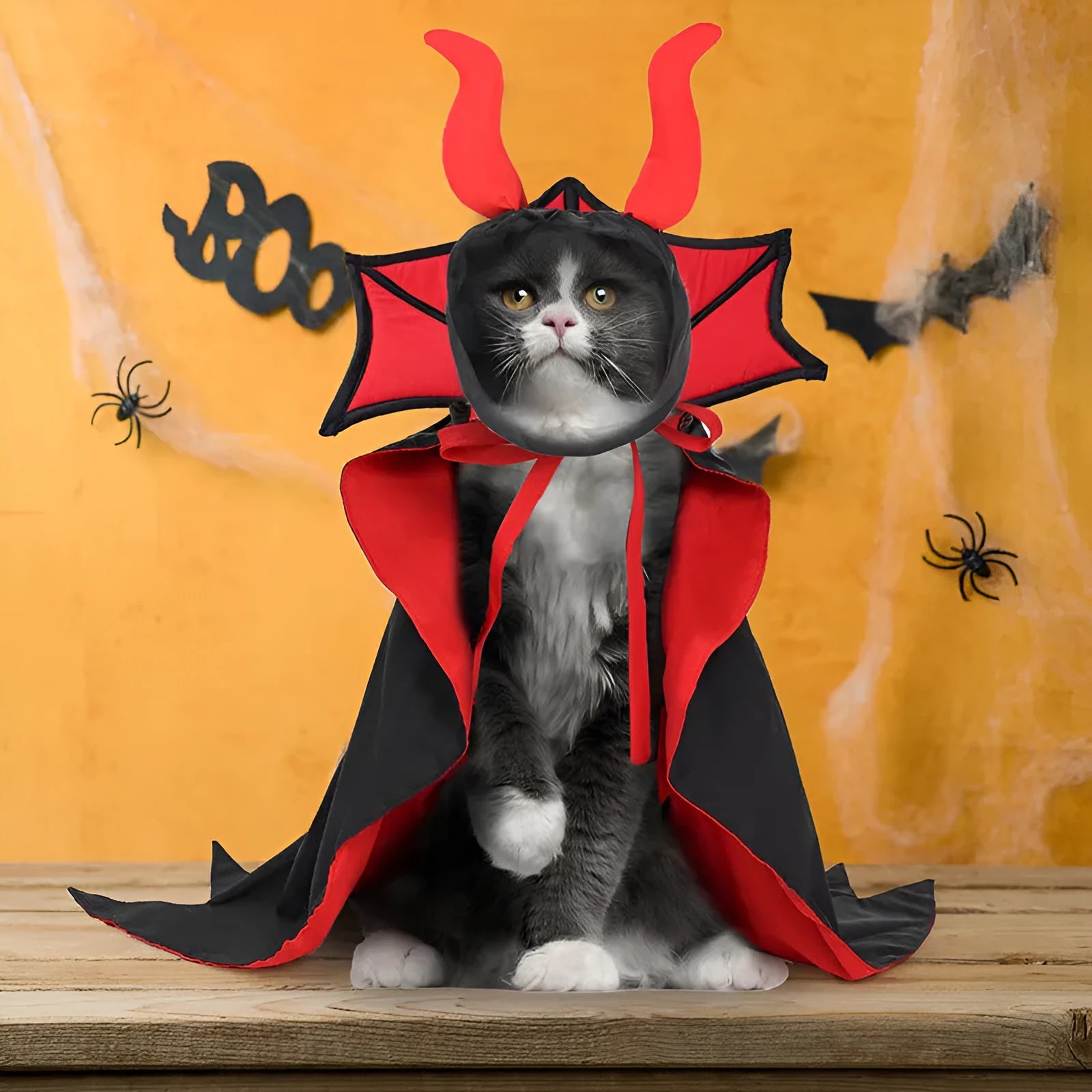 Black polyester pet vampire cloak and hat Halloween costume for cats and dogs