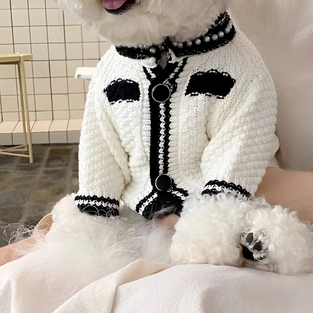 Korean princess style white dog sweater with pearl collar on small dog