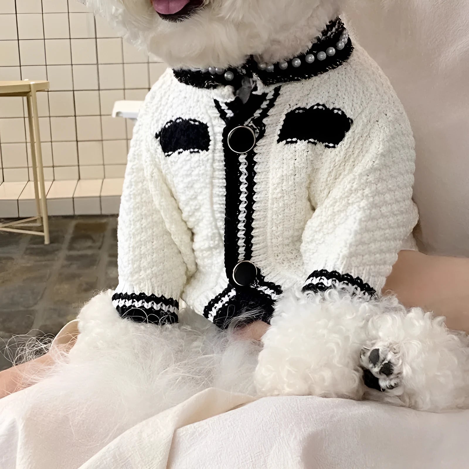 Korean princess style white dog sweater with pearl collar on small dog