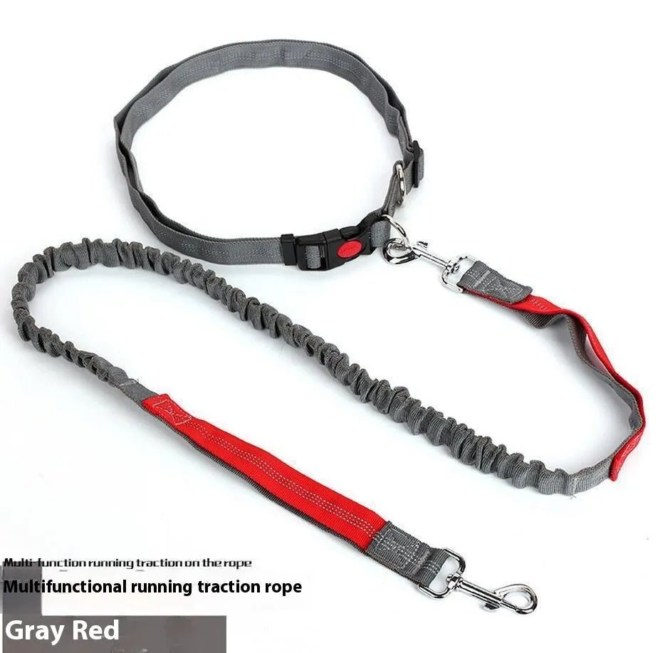 Elastic dog leash with reflective filament in gray and blue colour combination showing 2.5cm width