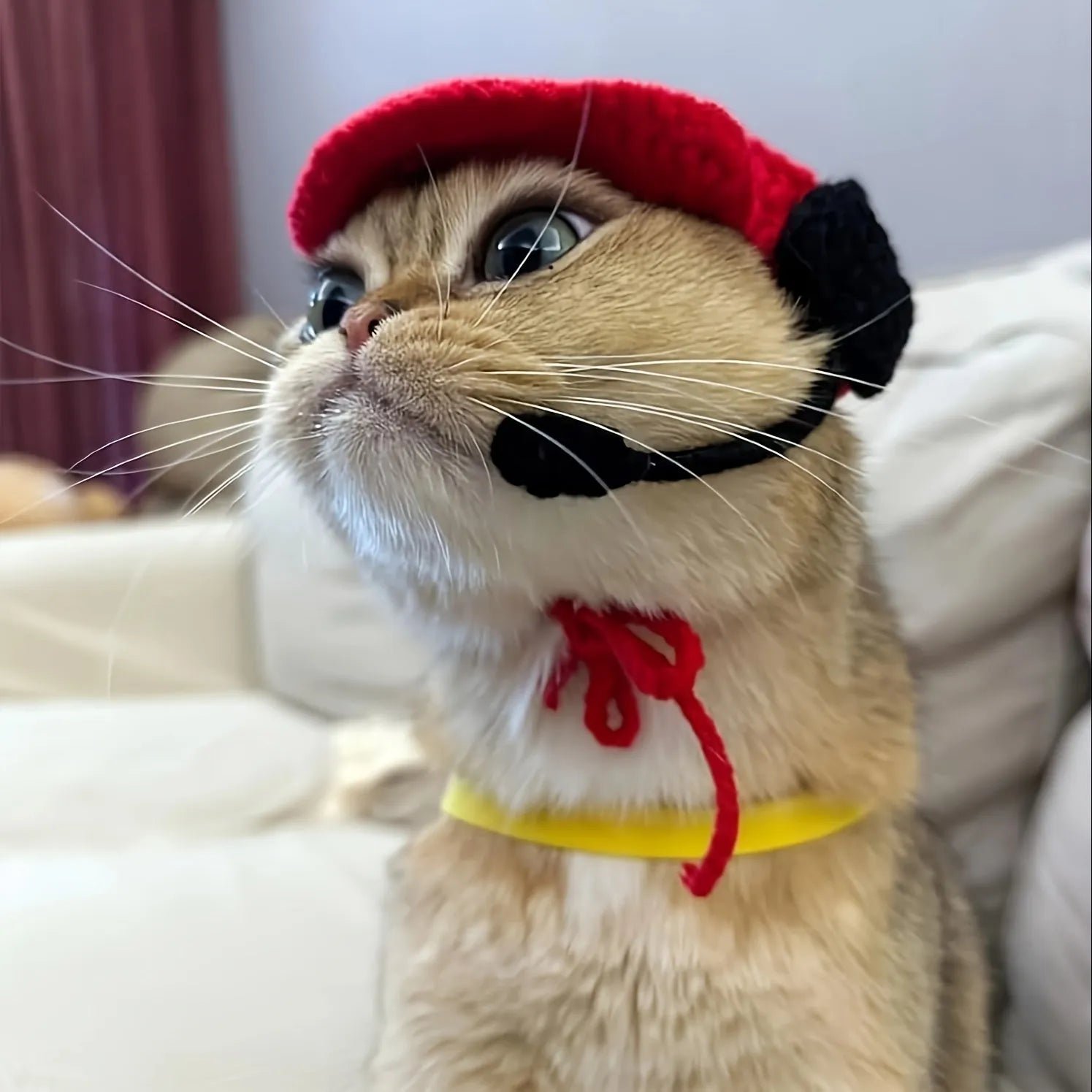 Handmade cat chef hat and cotton knitted sweater pet costume set for small to medium pets
