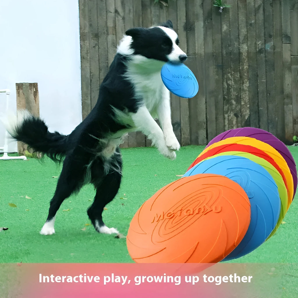 Soft rubber dog frisbee toy in blue, shown on grass for scale.